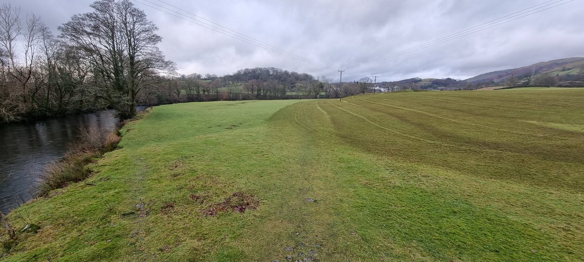 MikeWestSCRT's tweet photo. @JackSpees I'm fed up of people not keeping to the 10m rules! However I was pleased to see someone doing 'reasonable' job. Buffer strip given here was about 30m plus it nicely followed the edge of the floodplain. #farmingrulesforwater https://t.co/3ZbXq5EicH
