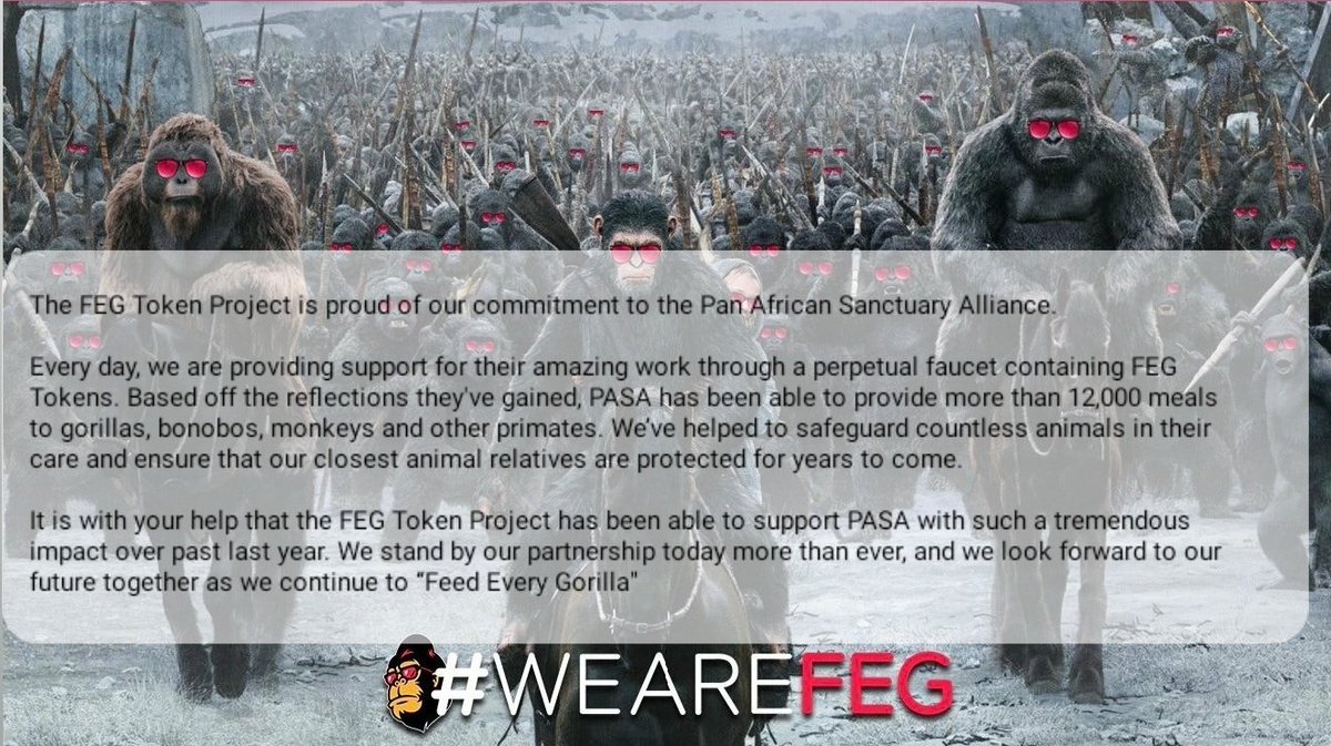 bennosmc's tweet photo. The #FEGTOKEN is #PROUD of our commitment to the #PASA Pan African Sanctuary Alliance ✅🦍❤
My love for #FEG grows everyday ❤ 😍
👇👇👇💥🦍❤ https://t.co/3Wjepn6haN