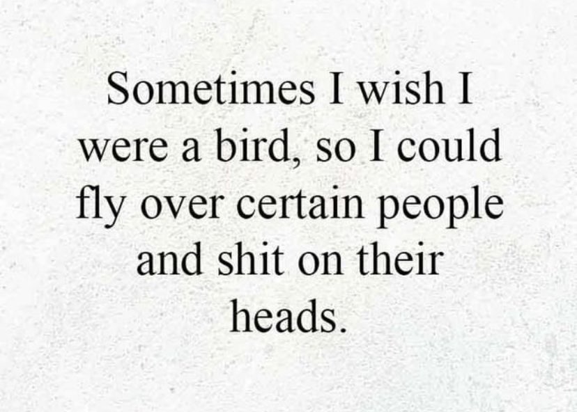 Cazzie (@CAZZ1E_) / Posts / X