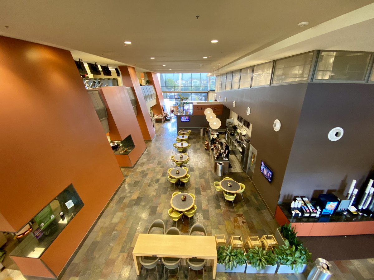 Ocotillo Village 😍