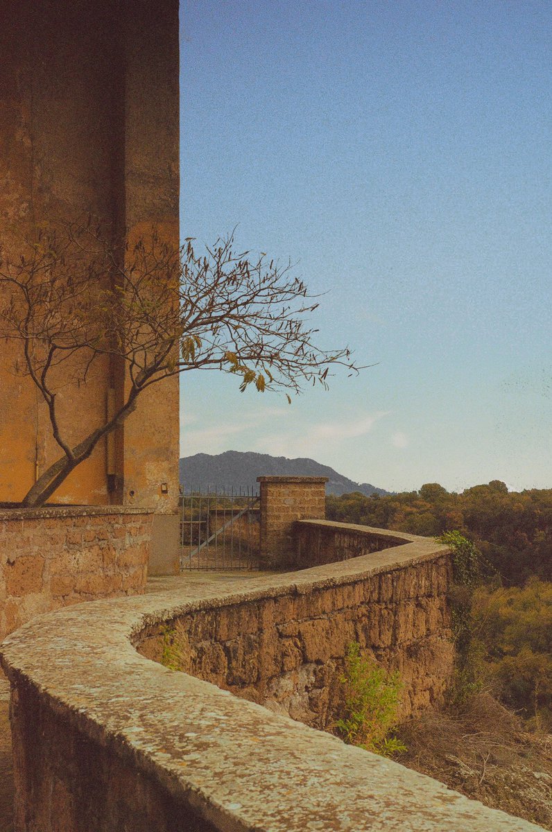AlexKittoe's tweet photo. Film photos from Tuscany https://t.co/eT0CO1GiDV