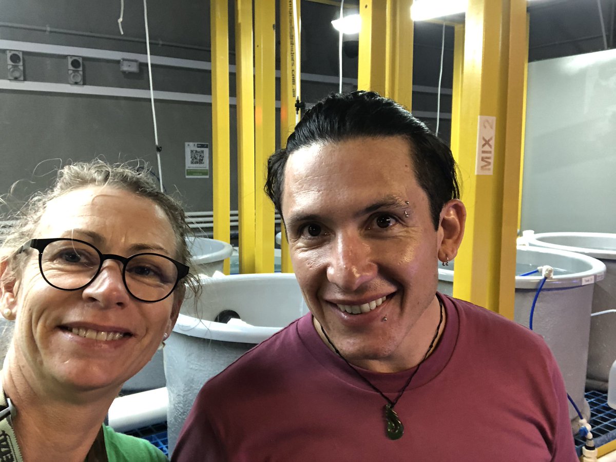 Line K Bay tweet media