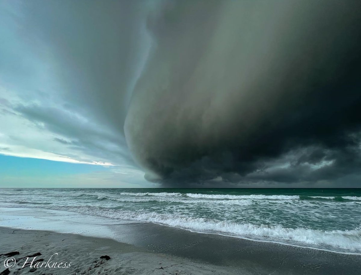 MattDevittWX's tweet photo. FLORIDA SHELF CLOUD! ☁️📸 
Rain &amp; storms blew by Longboat Key and produced this beauty along the Gulf this afternoon! Credit: @WINKNews viewer John Harkness @StormHour https://t.co/HXCd1AKyg6