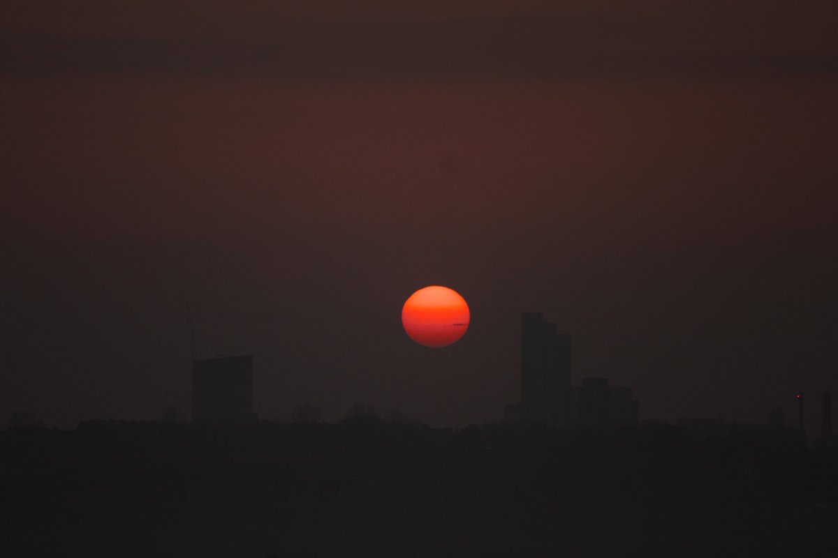 🦇 Rach 🦇 tweet media