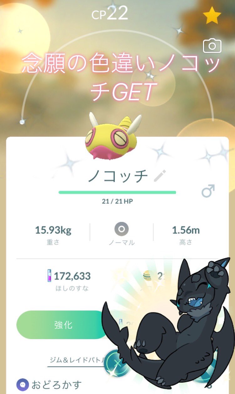 いたずらごころ溢れるダークマルノッチ 2525marnotch Twitter