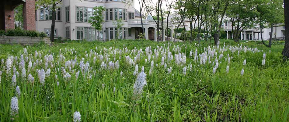 #Spring is the season for restoring nature! 🦋

Our natural areas restoration services boost the #natural habitats animals and insects need to thrive!

Contact us today for all your #nature restoration services! 🐦

📱 (815) 247-4457
🔗 pizzo.info/natural-areas-…