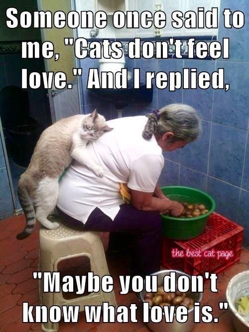 kaylamarie413's tweet photo. @morgana_ariel @PerfectMisty @Clicker_Army @Dovewoman1 @LilacMoon_8 @DeltaCLICK2 @Yeshua4Animals @mapleveewesem @josephbarker028 @Cindylouwhobaj1 @Lin11W @StimpsonJCat66 @FieryGift @seasicksheep @SombergElla @NewsBijou @Cat_Kapow @hayley_Core_V @SnowFairy29 @Kindness626 @ElsaC76 @MKruger12 @cherryog1 @JadeM2816 @toni_thwd1 @Myownname1 @PipPipPirrip @cannebrannen @daffodil_03 @MaryseRome @kirthurgan @ckarr2 @PitbullTina @greyhoundangel5 @Calendula2016 @Patrici04278024 @Chamomi40 @patriot_brown @Jennife46263538 @sharon58642664 @SorciereAxolotl @LGagarine @FournierFloren5 @gaetan_andrieux @DlhLaura1 @Mimi202074 @Medusiane31 @Com4Pilouf @FlorentRouen @GuPrevel I will answer dms occasionally. I love and will miss you all. Keep fighting for the animals its what brought us all together. 💜💜💜 https://t.co/JcasiwRogW