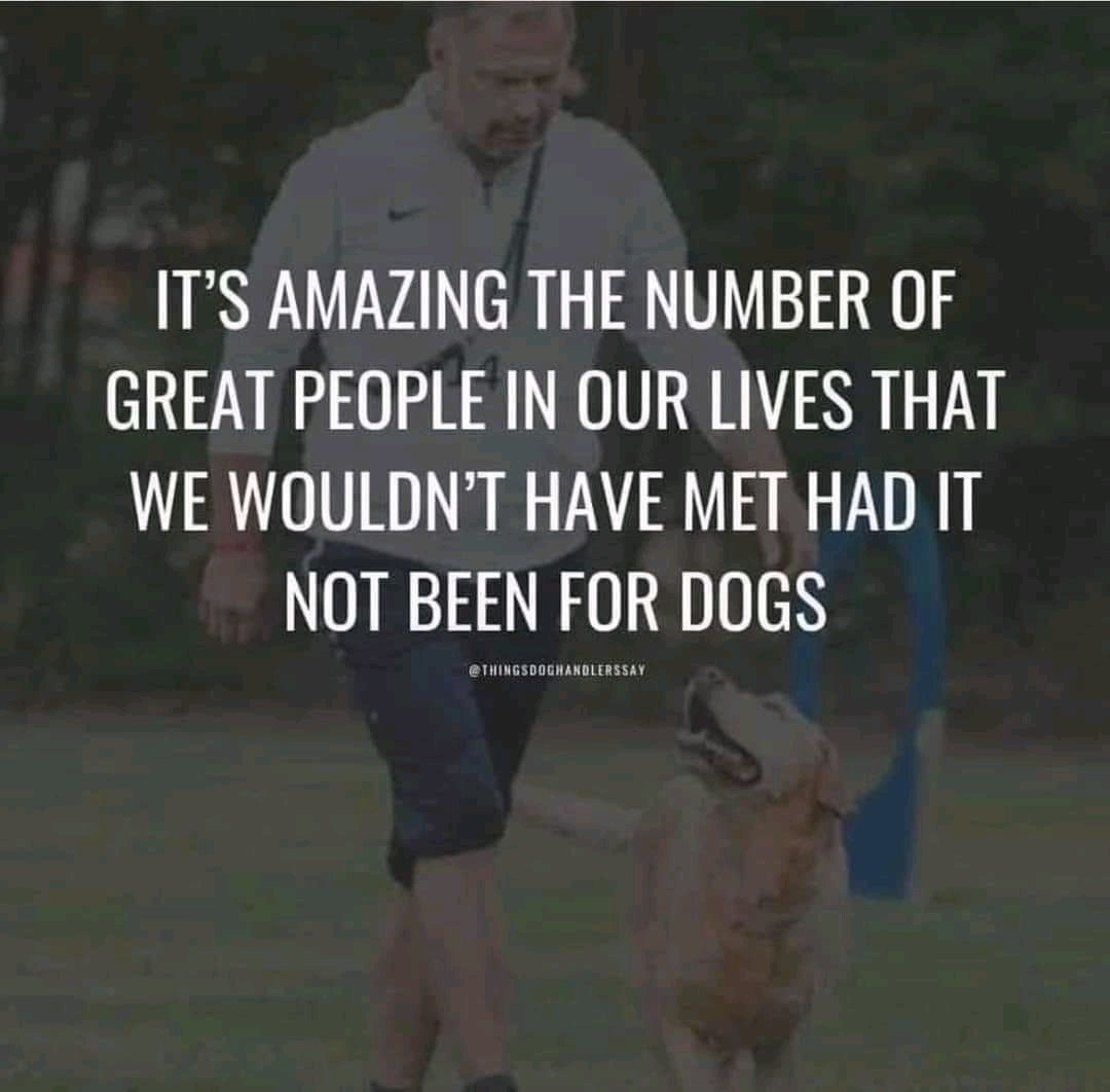 kaylamarie413's tweet photo. @PrimeFeral LOL. DM me I will answer. Take care. 💜💜 https://t.co/eLRXE5LUwN