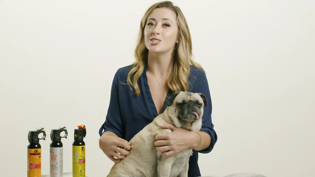 SABRE on Twitter "In the latest video of our YOU ASKED Series, we