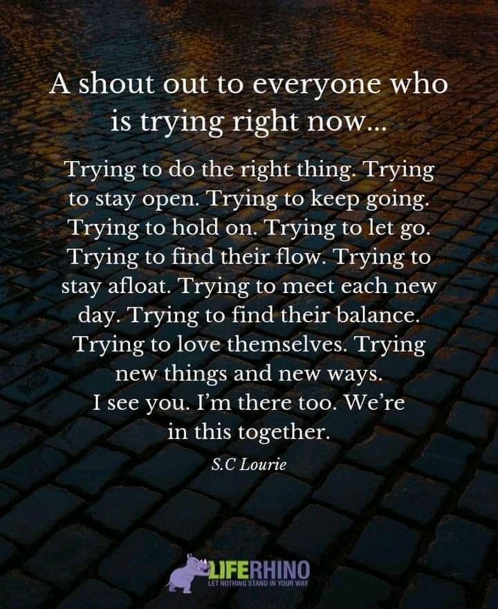 kaylamarie413's tweet photo. @Dovewoman1 @PerfectMisty @Clicker_Army @LilacMoon_8 @DeltaCLICK2 @Yeshua4Animals @mapleveewesem @josephbarker028 @Cindylouwhobaj1 @morgana_ariel @Lin11W @StimpsonJCat66 @FieryGift @seasicksheep @SombergElla @NewsBijou @Cat_Kapow @hayley_Core_V @SnowFairy29 @Kindness626 @ElsaC76 @MKruger12 @cherryog1 @JadeM2816 @toni_thwd1 @Myownname1 @PipPipPirrip @cannebrannen @daffodil_03 @MaryseRome @kirthurgan @ckarr2 @PitbullTina @greyhoundangel5 @Calendula2016 @Patrici04278024 @Chamomi40 @patriot_brown @Jennife46263538 @sharon58642664 @SorciereAxolotl @LGagarine @FournierFloren5 @gaetan_andrieux @DlhLaura1 @Mimi202074 @Medusiane31 @Com4Pilouf @FlorentRouen @GuPrevel Thanks Barbara. I do know. I have had to before. Everything here and the animals in Ukraine and right now all I have is my kids and cat. My family is gone except extended family I see once a year. Love you. I will be back when I'm stronger. Angel is beautiful.💜💜💜 https://t.co/sOljBhiFVK