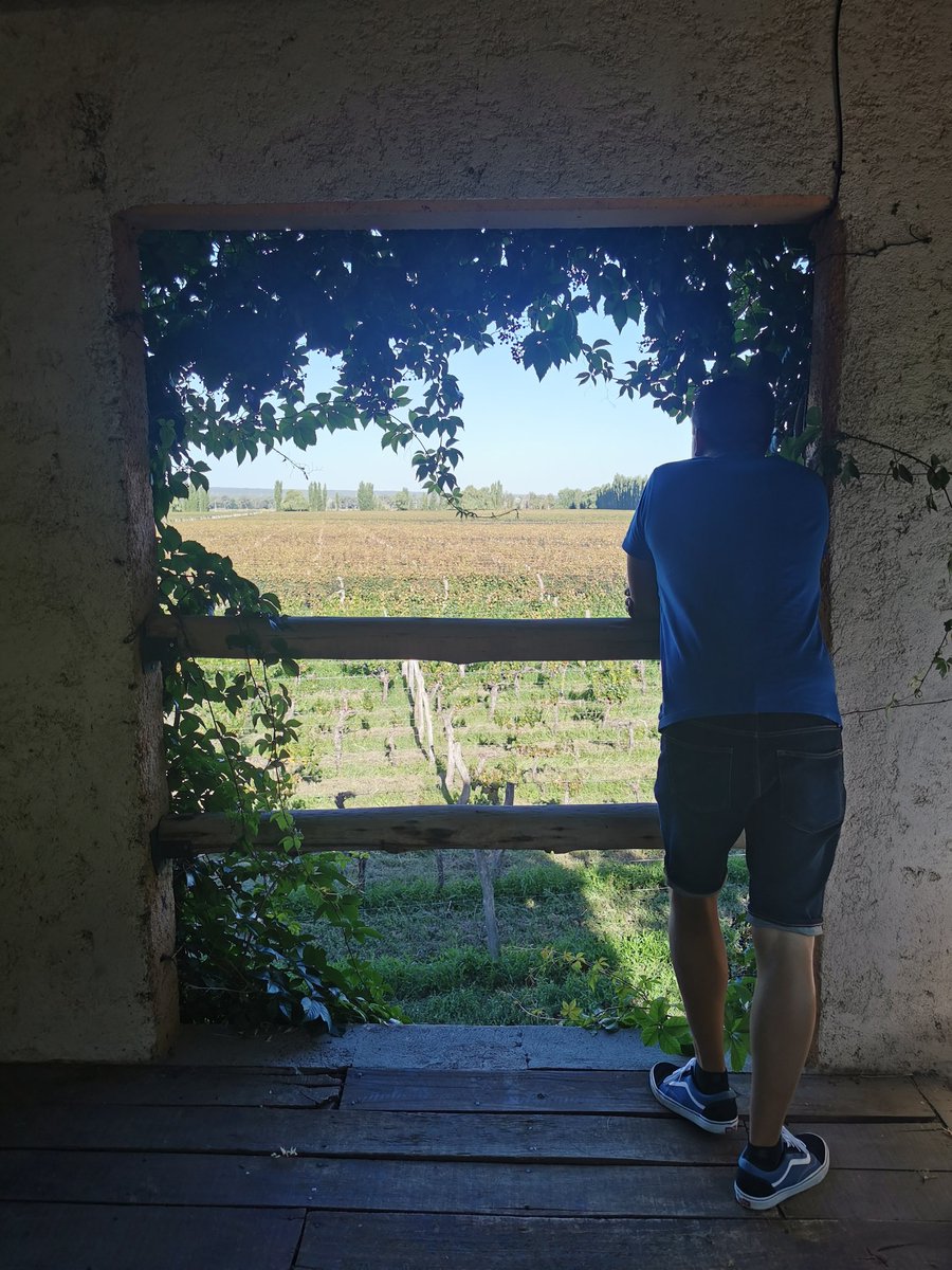 winewankers's tweet photo. Let's taste #wine in a hayshed and eat by the fire! 🔥🍖🍷😋👌 That's Mendoza for you.

At 1000m up and with a real focus on people and place, @FincaLaAnita create spectacular gear that embraces the energy of the Andes.

@sophiejump @RealWineGuru @LizPalmer_ @pietrosd @frankstero https://t.co/hBJSKId1fg