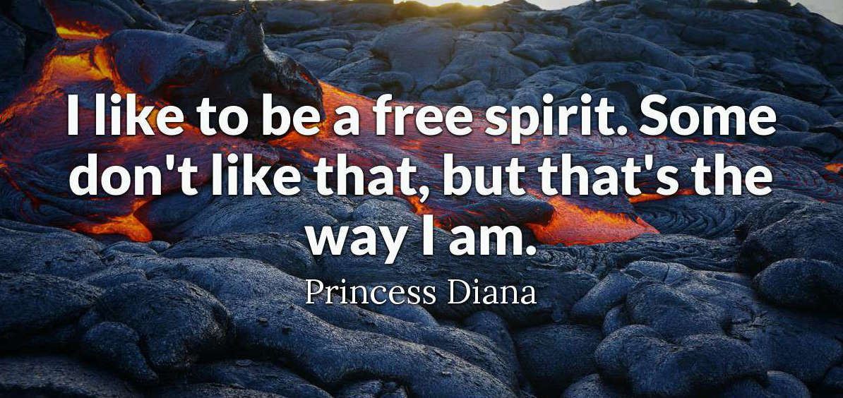 Where do animals live worksheets. Where do animals live. Questions about summer holidays. Directions задания. Animals and where they live.