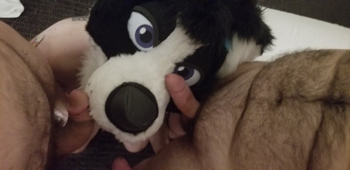Ember Collie tweet media