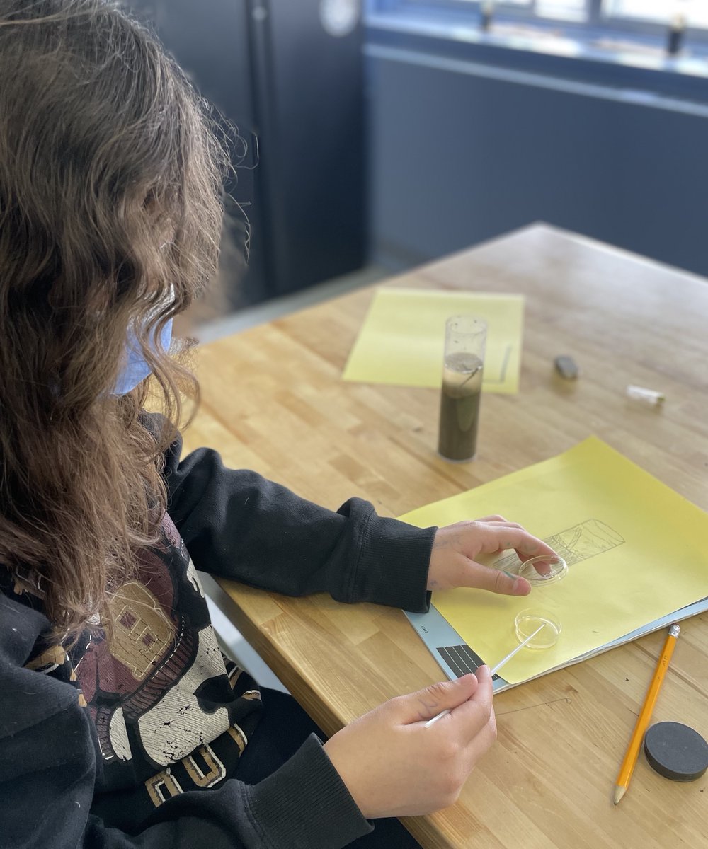 What fun to work with young microbiologists asking great questions about soil microbes! 
#WinogradskyColumns
<a href="/BrunLabCaulo/">Brun Lab</a> <a href="/SinclairLaird/">Sinclair Laird Elementary School</a>

🦠Are microbes making more microbes?

🍽️ Do microbes eat? What do they eat?   1/