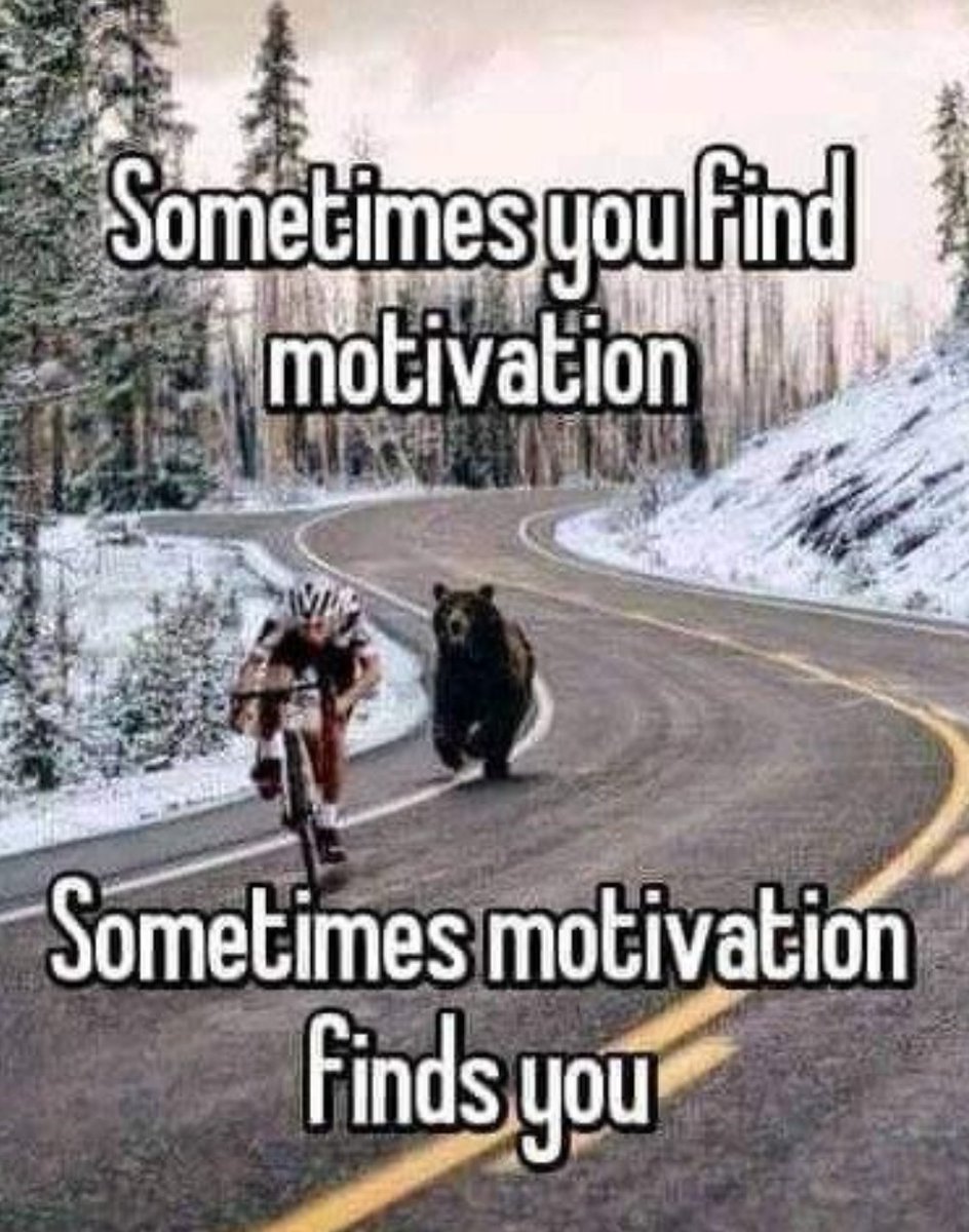 DJ~I STAND W/DJT 🇺🇲 🦅 🐸 🤌 tweet media