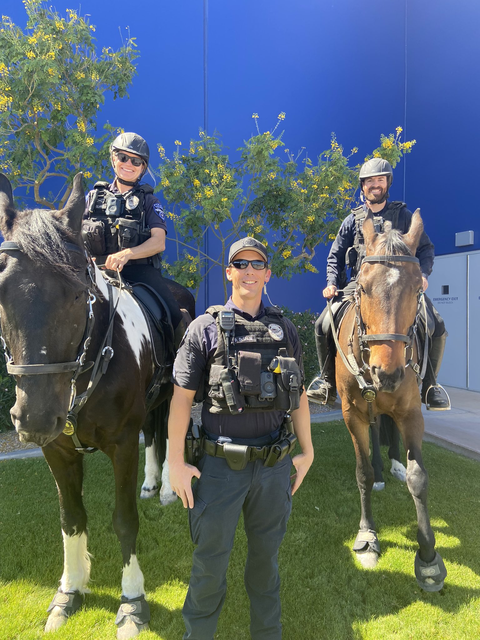 Tempe Non Emergency Police - p4f2qc7