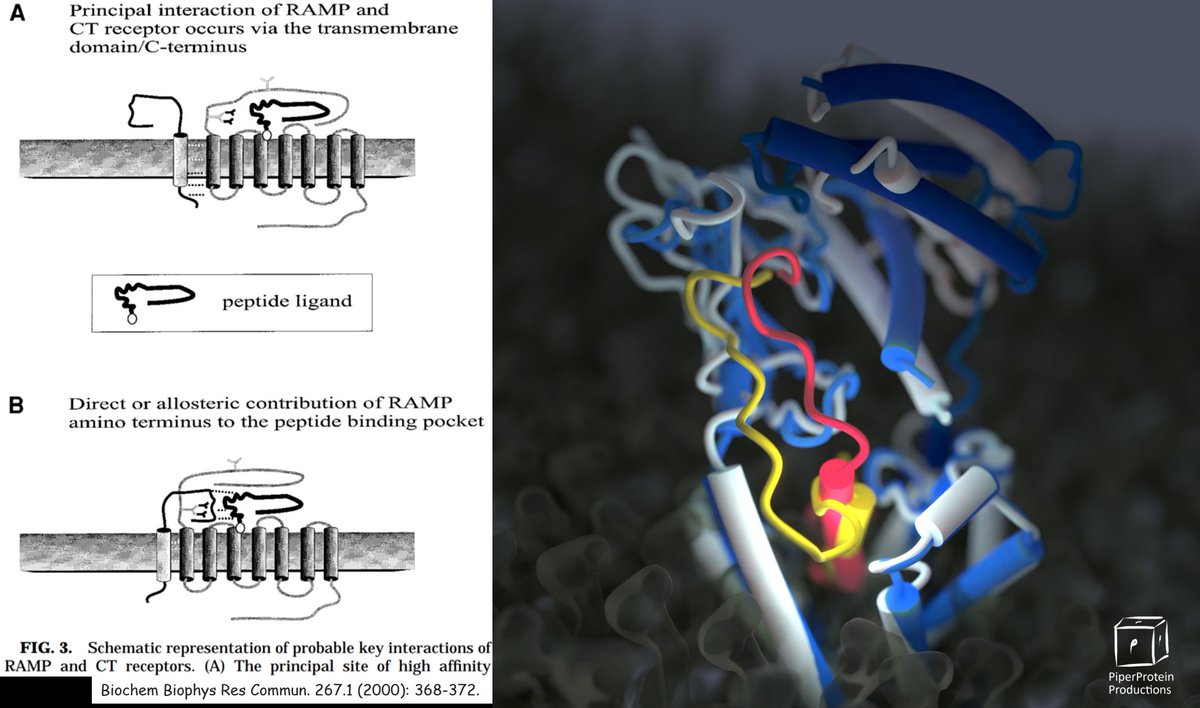Jason Cao tweet media
