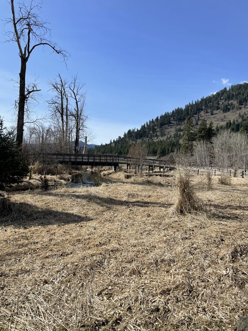 #lumbybc https://t.co/8WFIKFcXEj<a href="/tag/lumbybc"class="tags">#lumbybc</a>