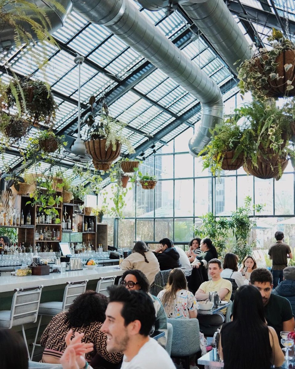 Brunch time vibes at @thelinehotel #OpenaireLA 🥂 📸 @natalieengel #discoverLA #Brunch