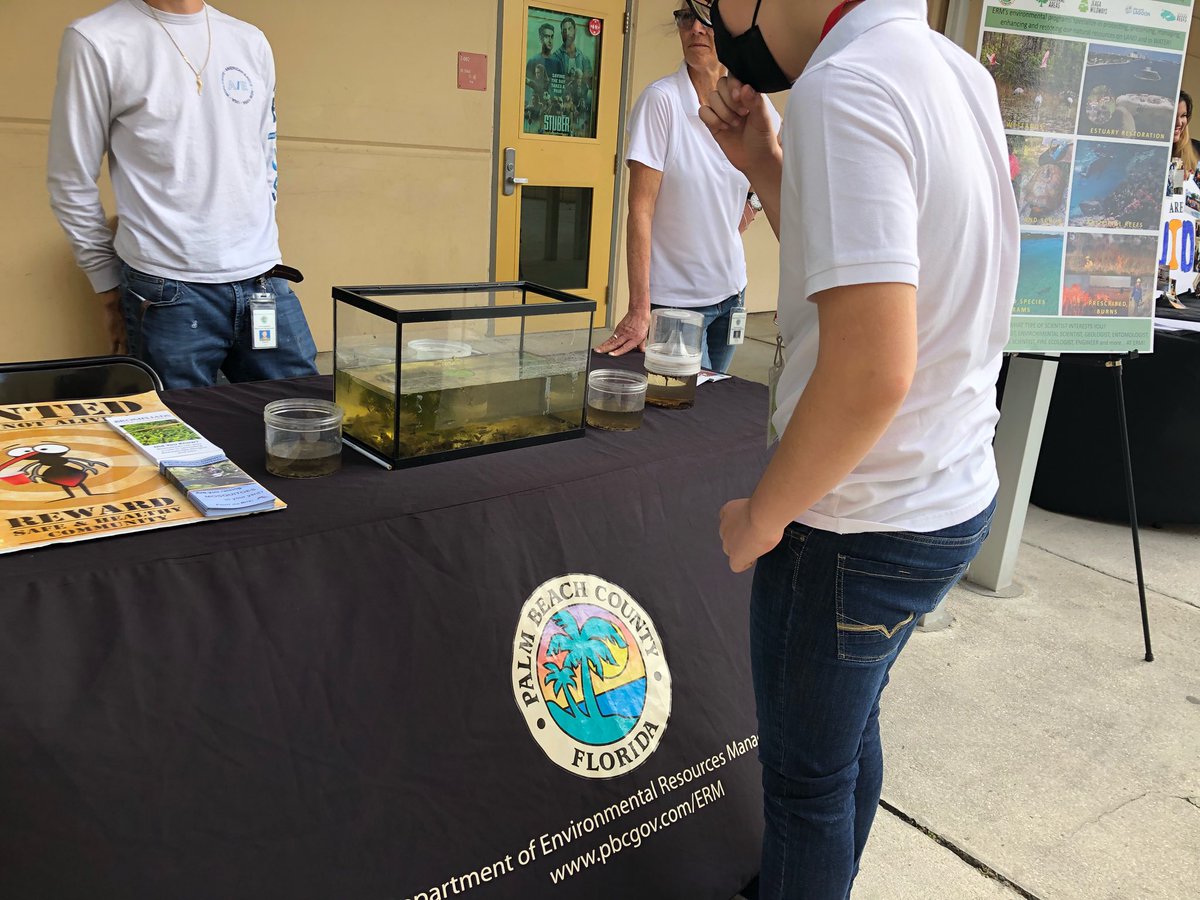 c_cich14's tweet image. The future sure is looking bright! #avidawarenessweek #collegeandcareer @AVID4College @MsColleenCarney #weareavid