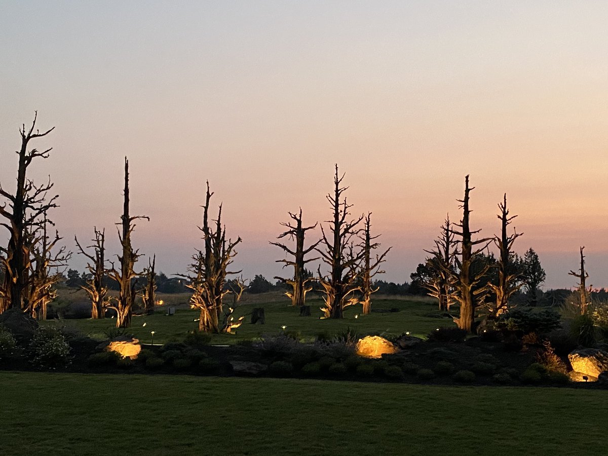 Bookmark this under "future travel plans."

Toast the beginning of a beautiful stay at Pronghorn with with stroll through our one-of-a-kind Ghost Tree Forest. And through April 30—enjoy additional nights in the Huntington Lodge for only $99 each! Book now: bit.ly/2NsHBMP