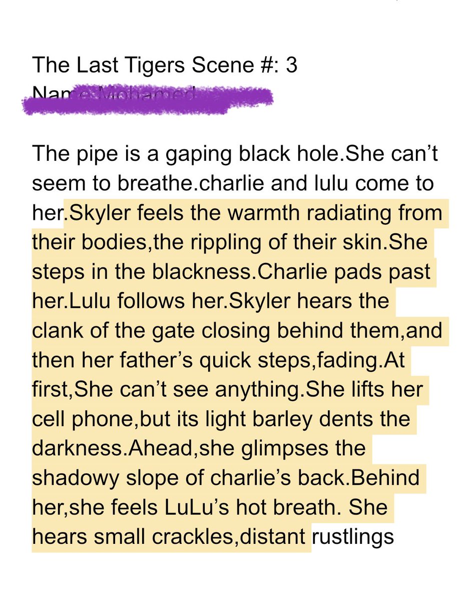 SophieMorton tweet media