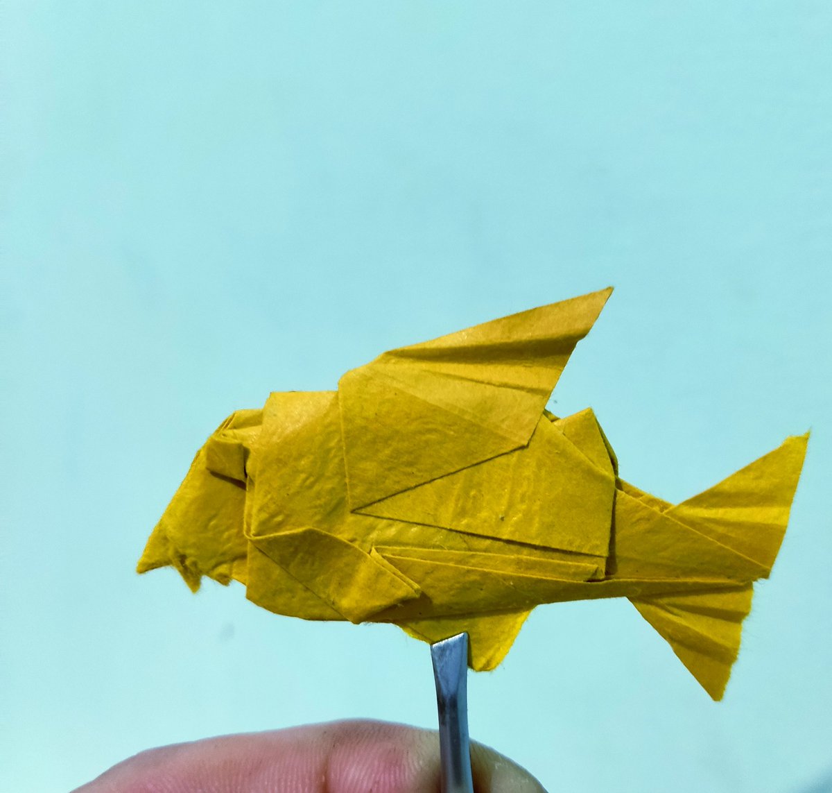 BorisZobak's tweet photo. #corydoras by Maeng Hyeong Kyu @mk_origami  #paper size
 15cm. #origamifish #corydorasaeneus #золотистыйсомик https://t.co/HSqEzad2RZ