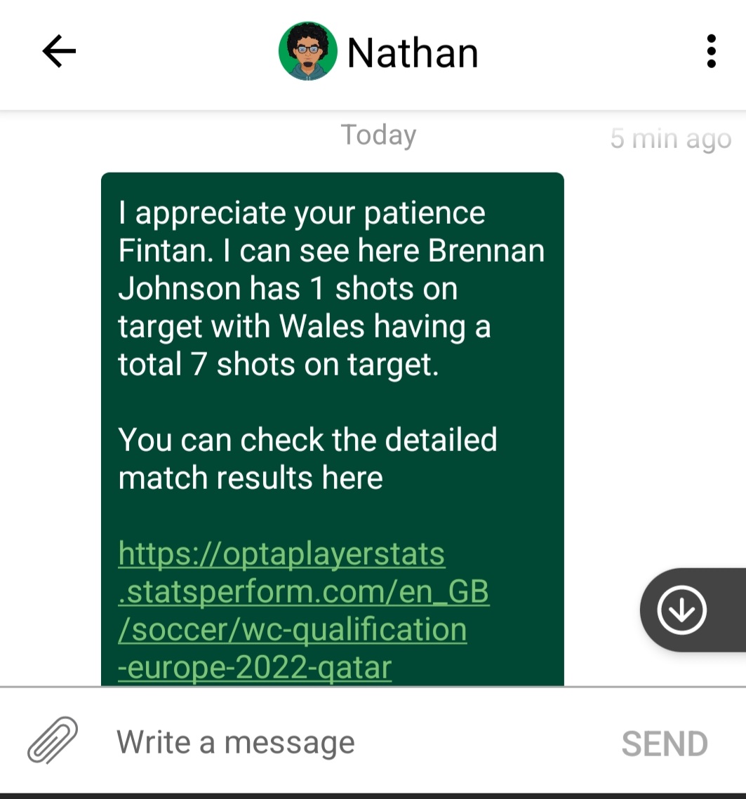 FintanBell's tweet photo. @AskPaddyPower your guys confirmed brennan johnson injury time shot was on target (tipped round post).. you need to update wales corner tally to 4??? https://t.co/lzIJ00yFIL