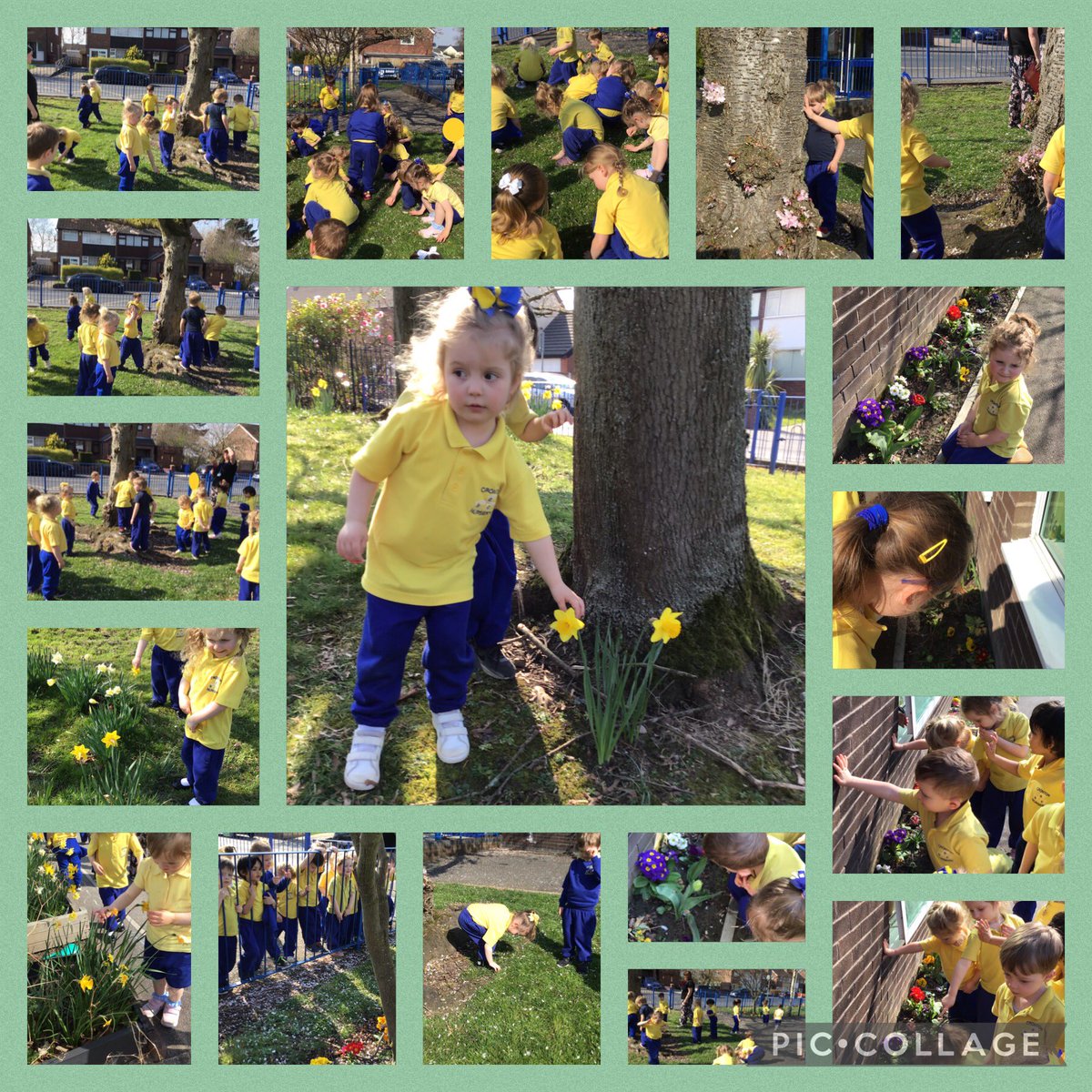 crontonnursery's tweet photo. Our spring walk - looking for signs of spring. 🌸🌞🌷@crontonceschool @LDSTEducation https://t.co/4ZcvD88Tre