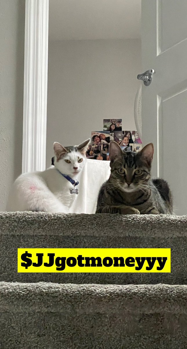 jalineoliva's tweet photo. @CashApp #cashapp #cashappwildin https://t.co/T6egJL8fKR