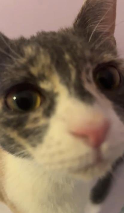 dani♡ (@tusubeselnivel) on Twitter photo 