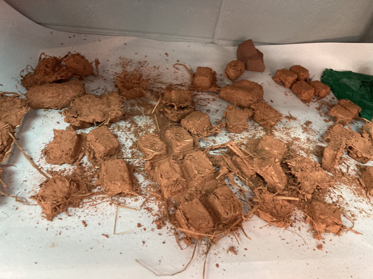 anniott's tweet photo. Thank you @BethCaperton for the opportunity to sharpen my saw today! Your 2nd grade scientists and engineers ROCK! (Get it?) #soils #shores @AMSTI4all @AmstiUAH @PisgahHigh @JCBOEal https://t.co/72kIWSelXO