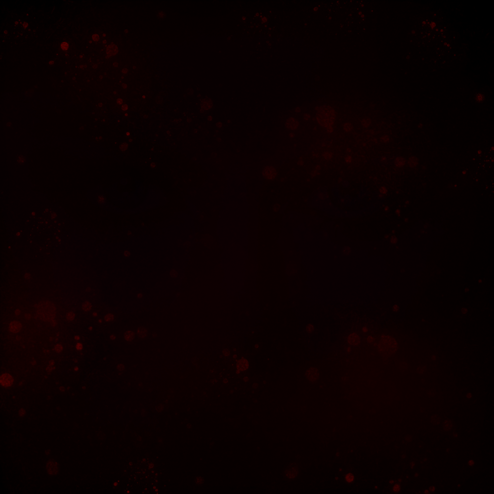 ThievesStudio tweet picture