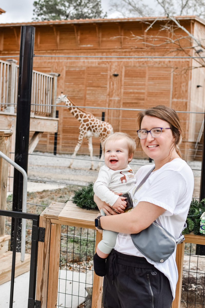 jessslpayne14's tweet photo. I don’t have a pet, but I do love giraffes! I think my little cousin, Riley, was a fan too! While, I don’t think that they would make the best pet lol, they are pretty cool! #310rocks https://t.co/nuFQ177ofe
