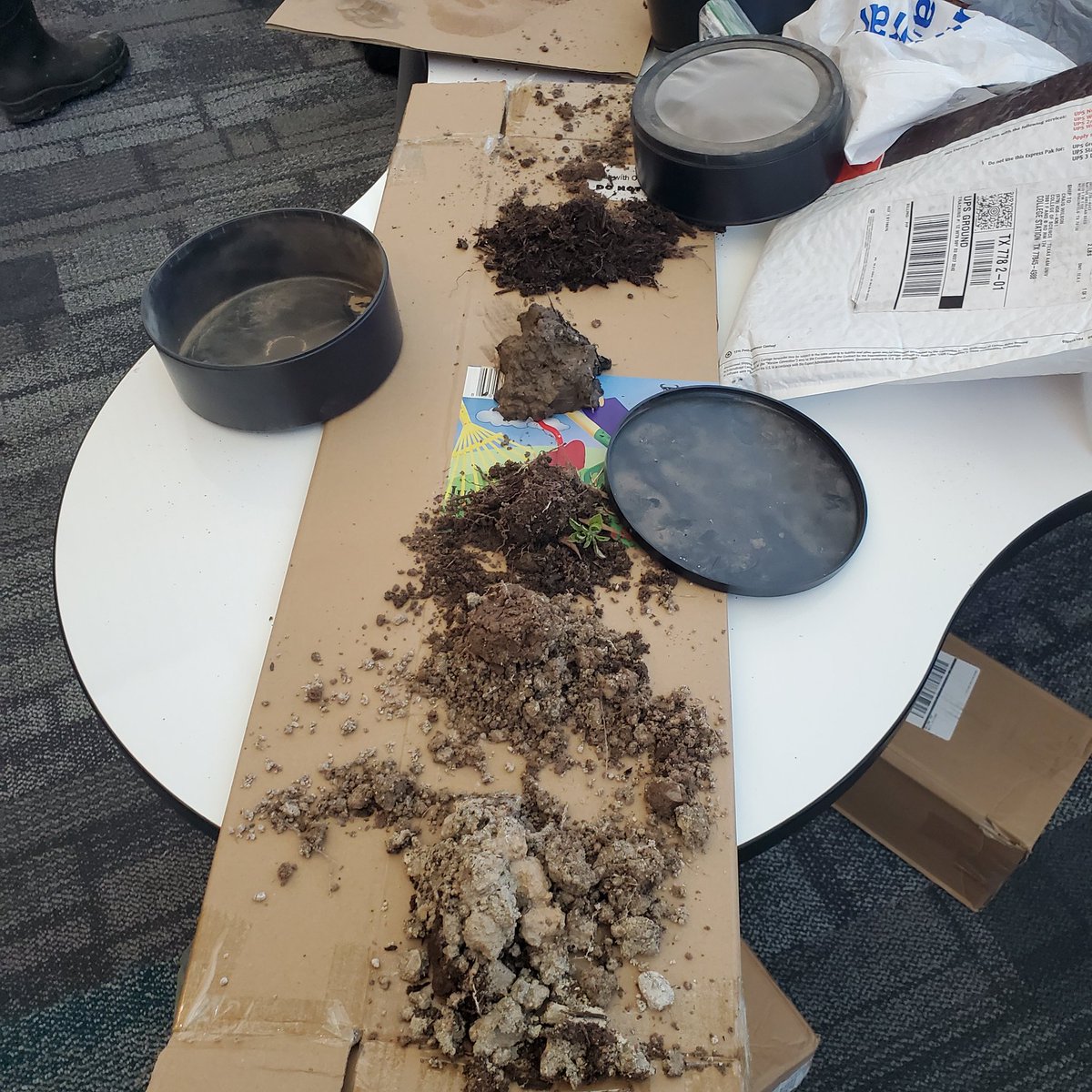 Govalle Library tweet media