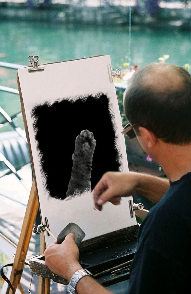 Cat Arm Coin tweet media