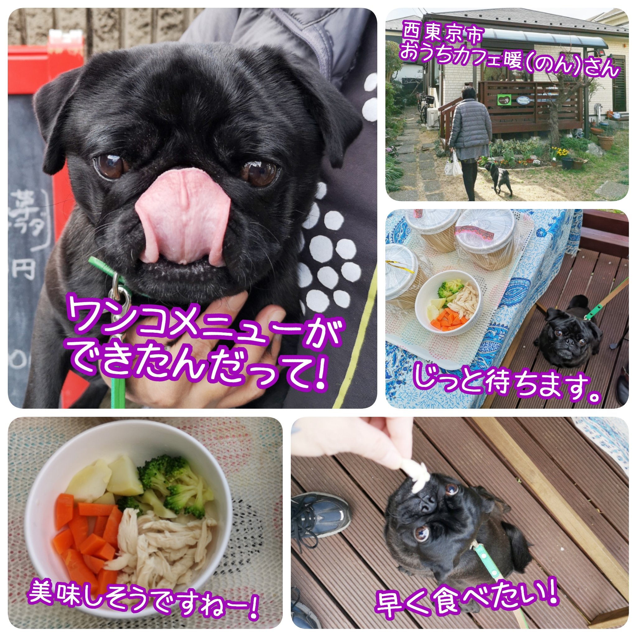 黒パグナイトファミリー 黒パグナイトです 3連休は食べまくり ボクもいっぱい食べました 西東京市 おうち カフェ暖 のん さんに ワンコメニューができたと聞いて 早速食べに行きました 鶏肉と野菜のヘルシーメニュー 美味しかった