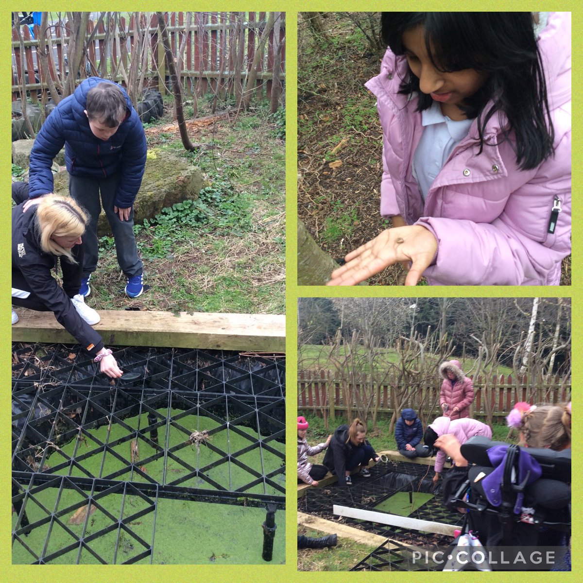 Hawthorn class have had a great time exploring the #forestschool area of the Lea, hunting for bugs & frogs in the pond. Everyone loved looking through magnifying glasses to examine what we found; worms, ants, woodlice & slugs! 🐌 🐜 🪱@ForestSchoolsUK @ForestSchools #gooutside