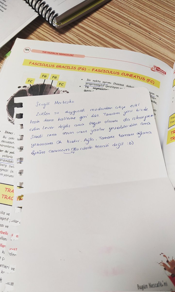 Mertoşko umarım bu kızı üzmemişsindir kardeşim