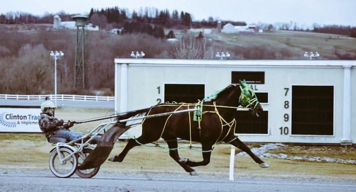 Wheelsbyjoe's tweet photo. Jack and Mister Miami training mile on the main track 

#mistermiami
#vernondownsracetrack 
#pacer
#standardbred
#businessowner https://t.co/ykqZZRBdQG