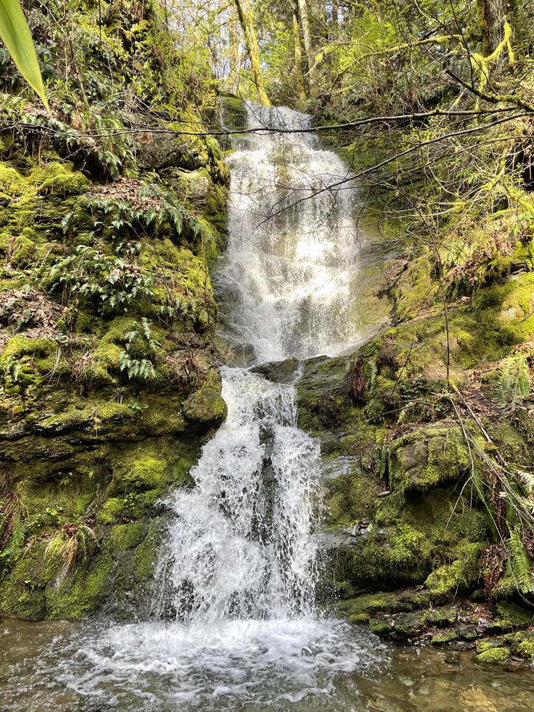 Waterfall is quite gushy today with recent rains