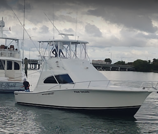 FishingOffshore's tweet photo. Did you know you can book directly online? https://t.co/T4oxtmn9Tp
#sarasota #sarasotafishing #floridafishing #offshorefishing https://t.co/OcgTUP9KQL