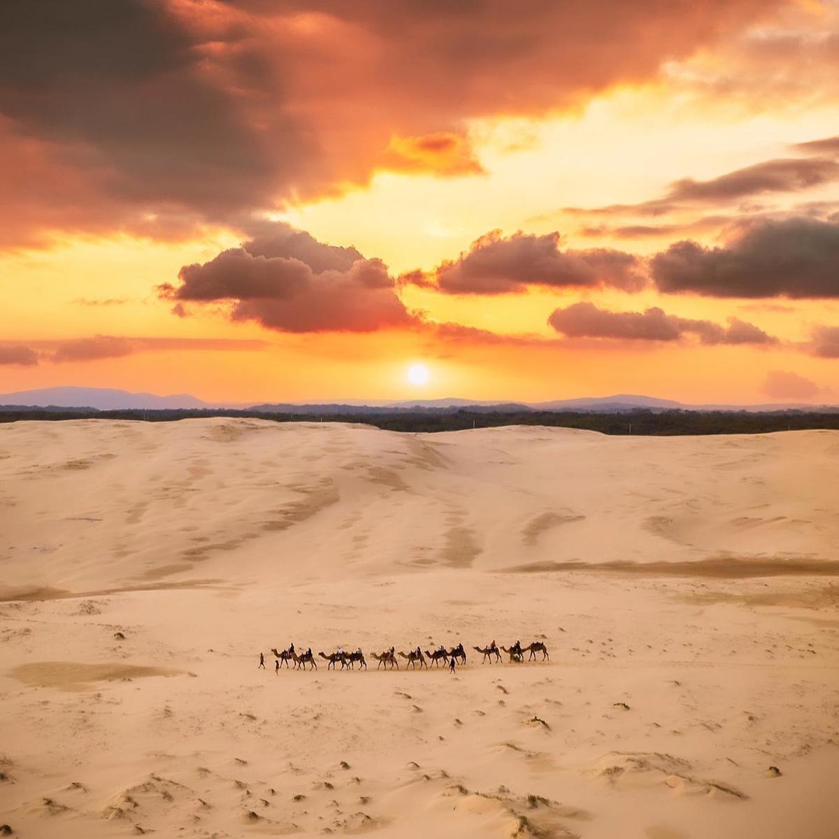 Australia's tweet photo. Lookin' out-sand-ing as always, @destinationnsw 🤩

Kudos to IG/ronnie_sparke for capturing this incredible snap of the magnificent Stockton Bight Sand Dunes on the Worimi Conservation Lands.

#seeaustralia #feelnsw #portstephens #holidayherethisyear https://t.co/9ZAkryuRuz