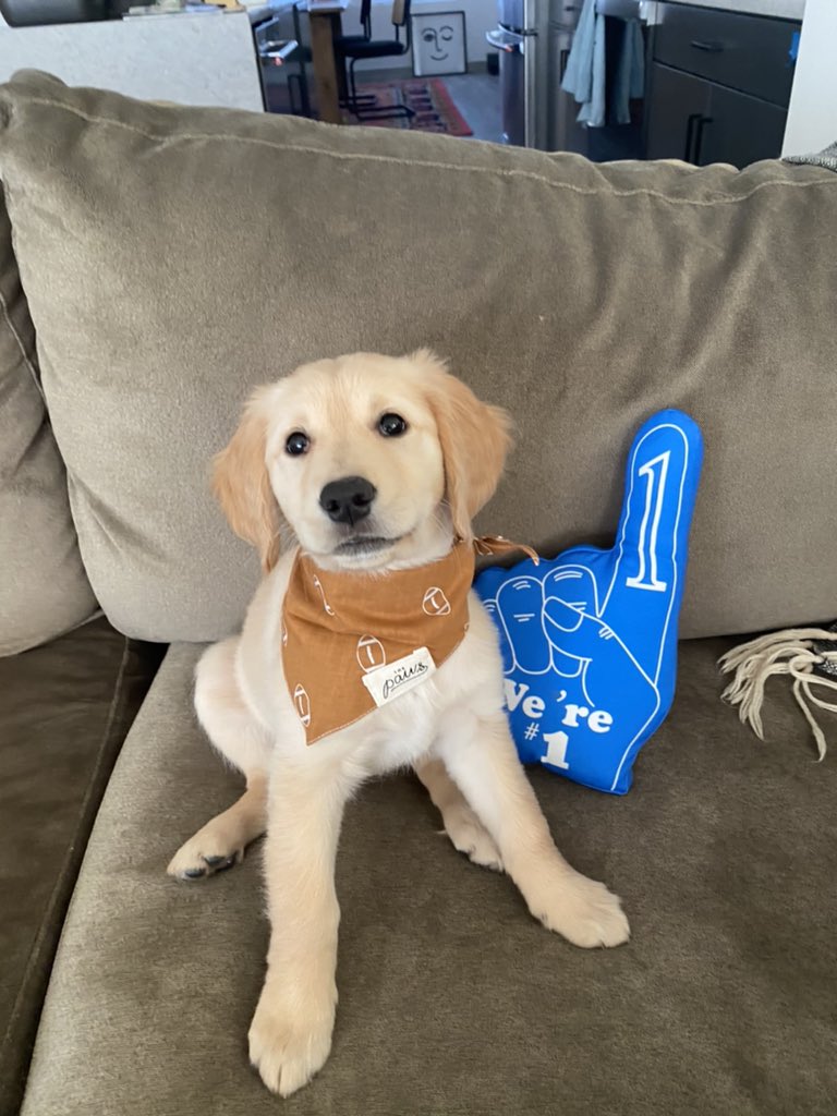 This is Pearl’s official audition to be the <a href="/USFLBreakers/">New Orleans Breakers</a> mascot