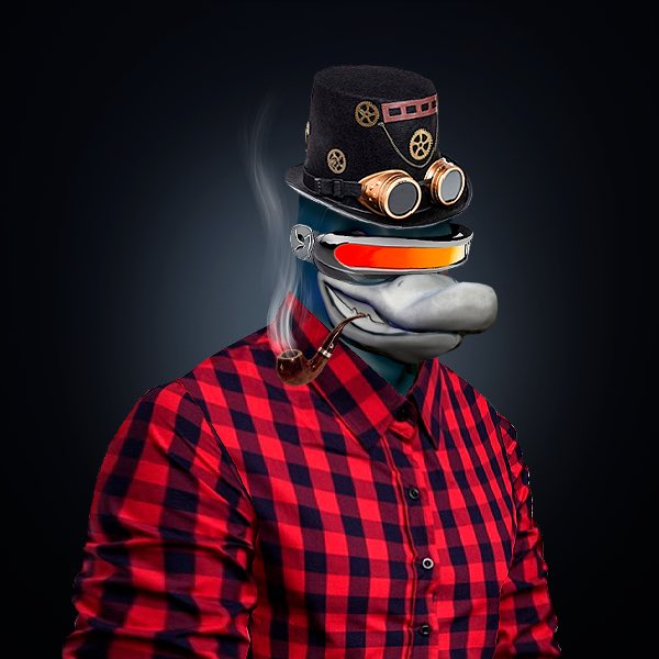 Angry Ducks Society tweet media