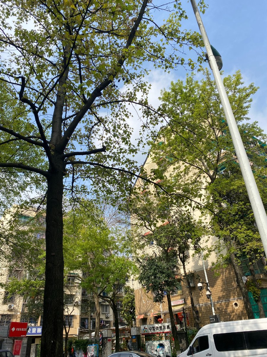 Esteleas_2010's tweet photo. I have now finished my 15 minute exercise. I feel that the whole person is refreshed. I also saw many beautiful flowers and green leaves, which made me feel spring. The activity give me the opportunity to have close contact with nature.🥰 #ionsfollowions #nftcollector https://t.co/4HMJ3ks6C6