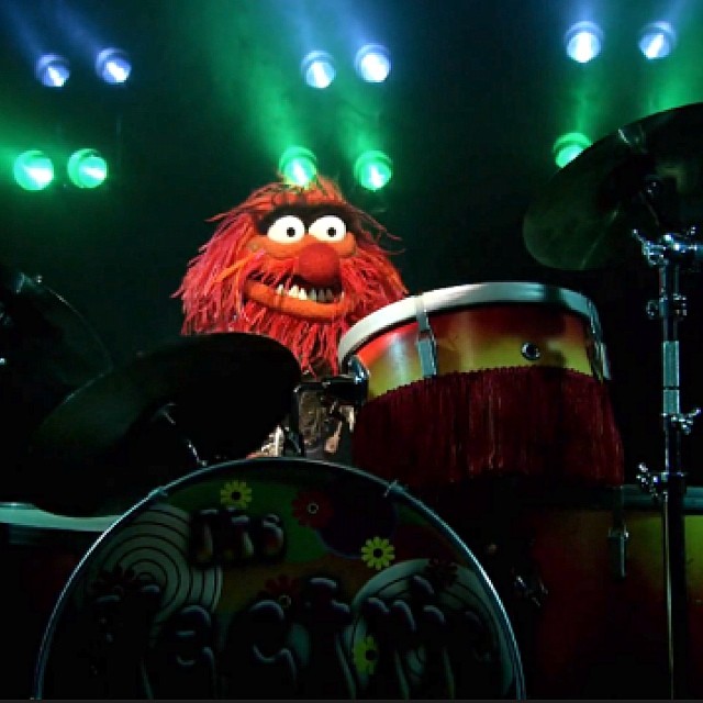 Muppets_no1's tweet photo. 💕
#Muppets https://t.co/wY8pZCSFHN