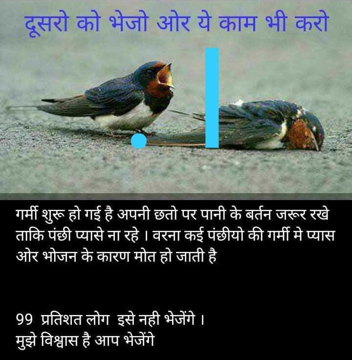 GopalMaruti's tweet photo. https://t.co/a5zI9ccY9J