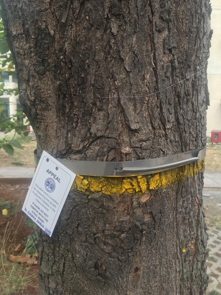 AdhesionLab's tweet photo. Trees on campus @IISERPune have their girth being called into question :-). All as part of an ongoing study. @ClusterPune https://t.co/AenViUKH8U