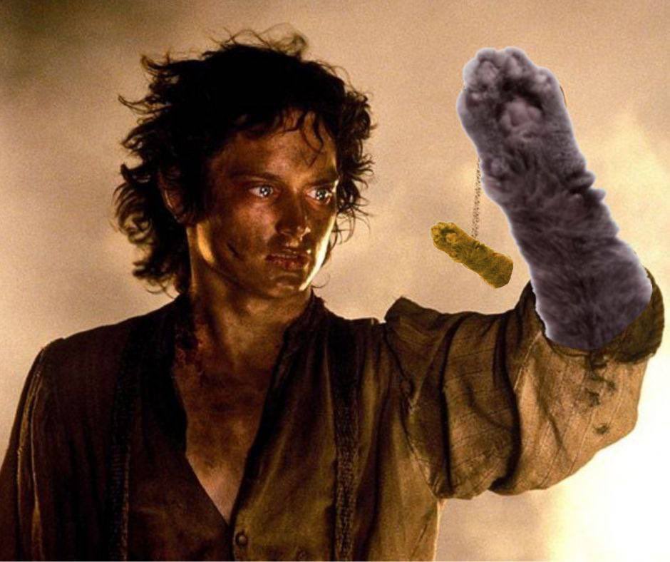 Cat Arm Coin tweet media